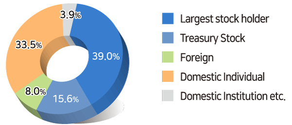 Largest stock holder 39.2%, Treasury Stock 15.6%, Foreign 20.2%, Domestic Individual 16.5%, Domestic Institution etc 8.5%