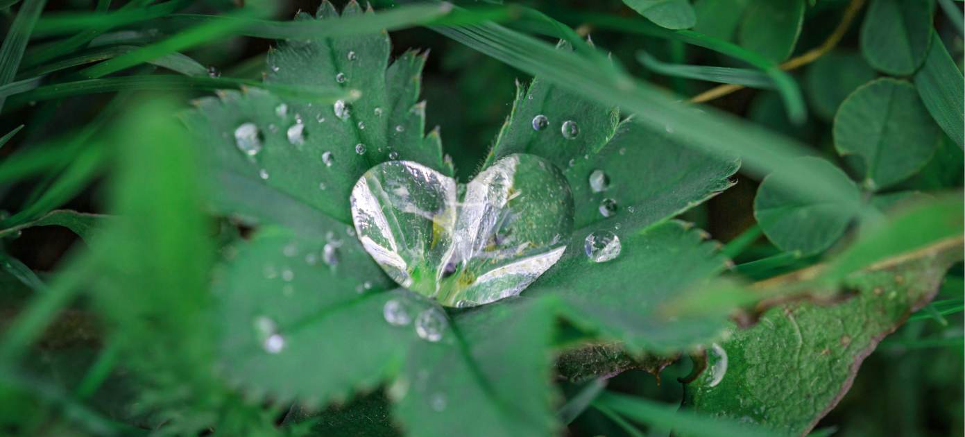 사랑 받는 기업