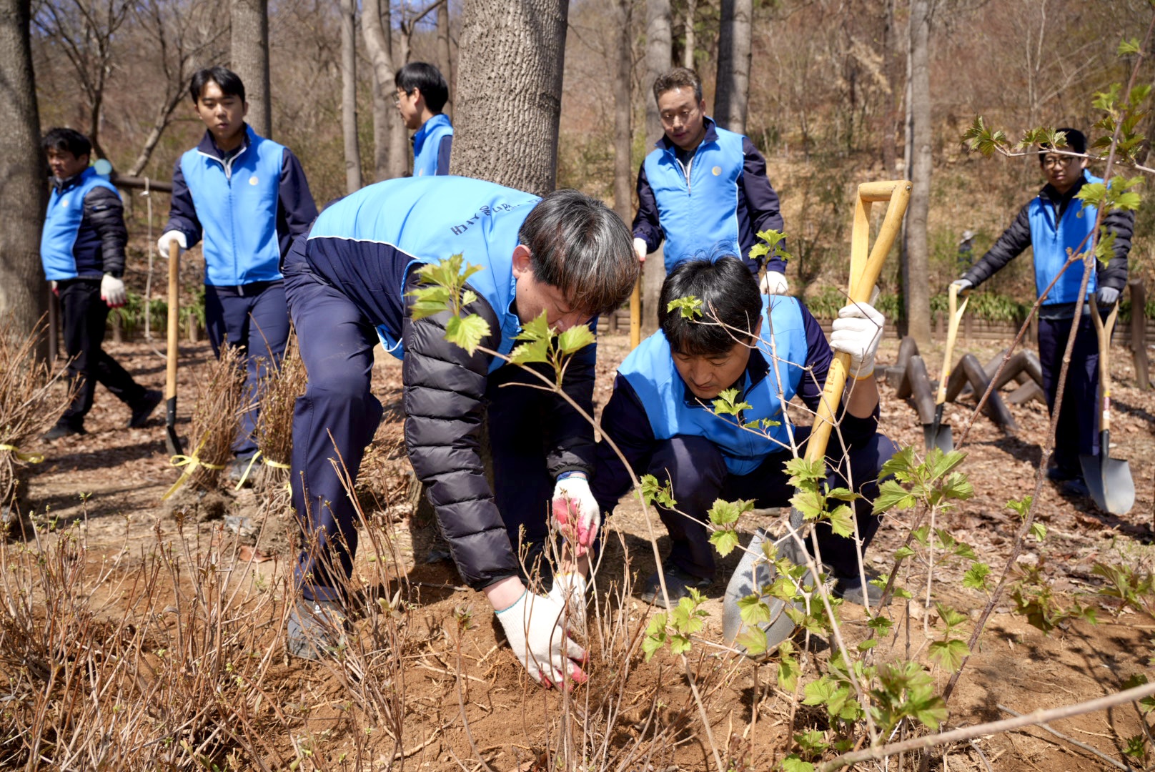 ’청량산 도시숲 가꾸기’ 행사에 참가한 삼천리 임직원이 나무를 심고 있다 (1).jpeg